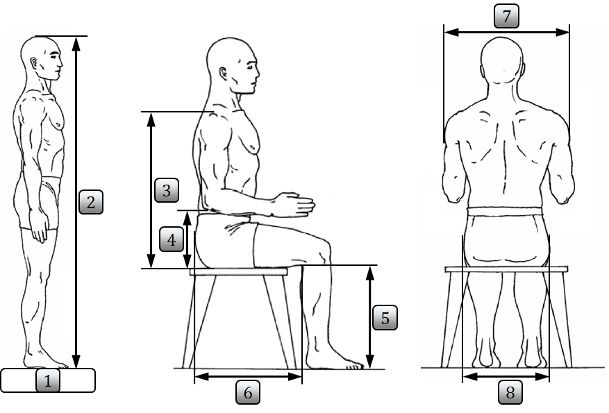 Relevant anthropometric dimensions for side-mounted desktop chairs
